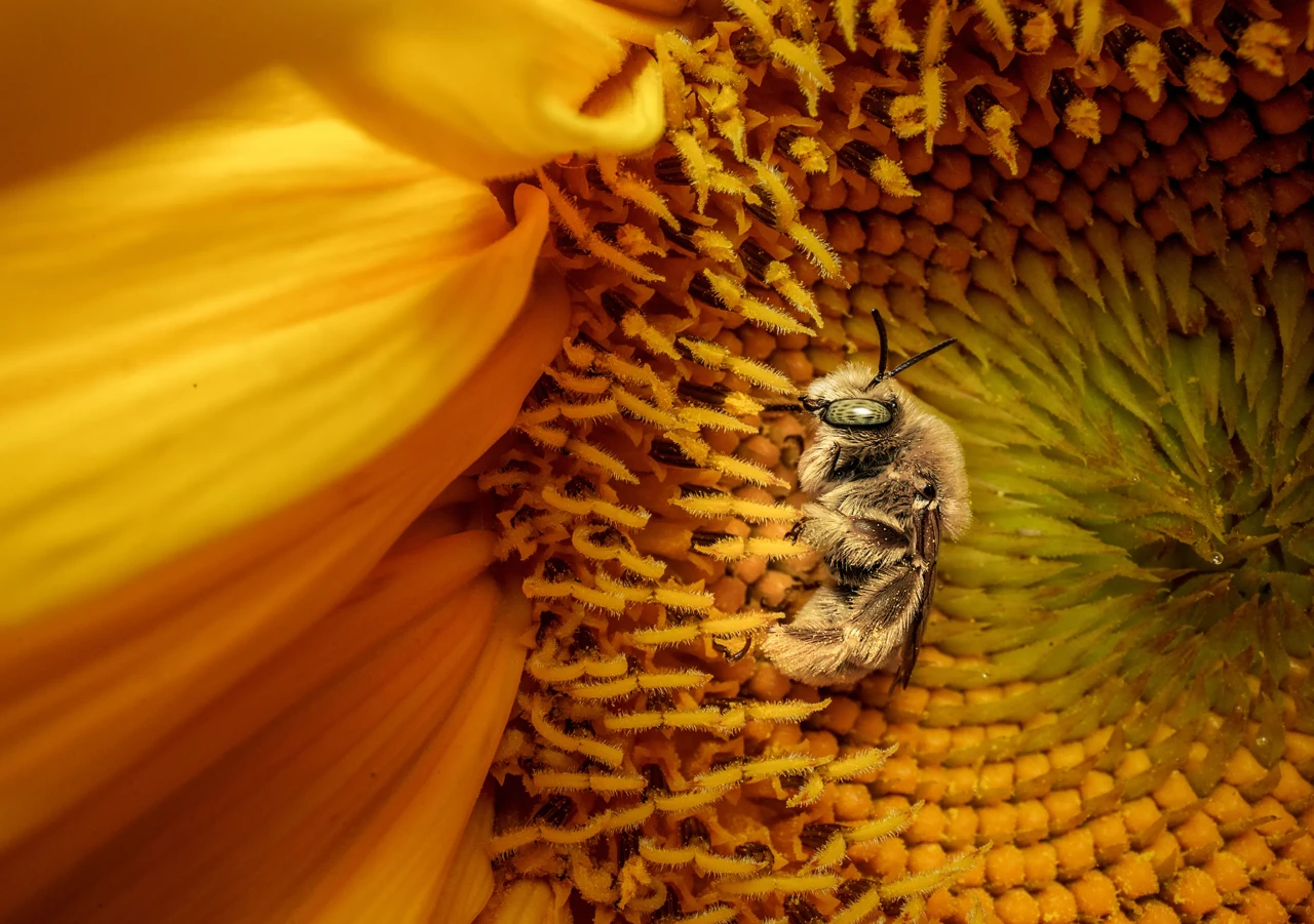 2025-ci ilin FOTOLARI...